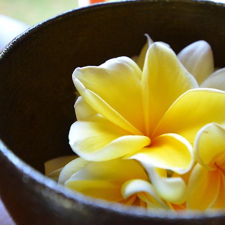 סמיניאק The Ulin Villas And Spa - By Karaniya Experience - Chse Certified מראה חיצוני תמונה